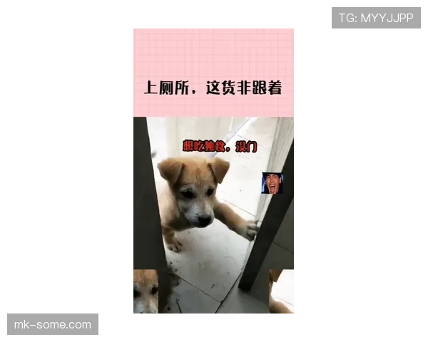 常园家的狗都比你我吃得讲究
